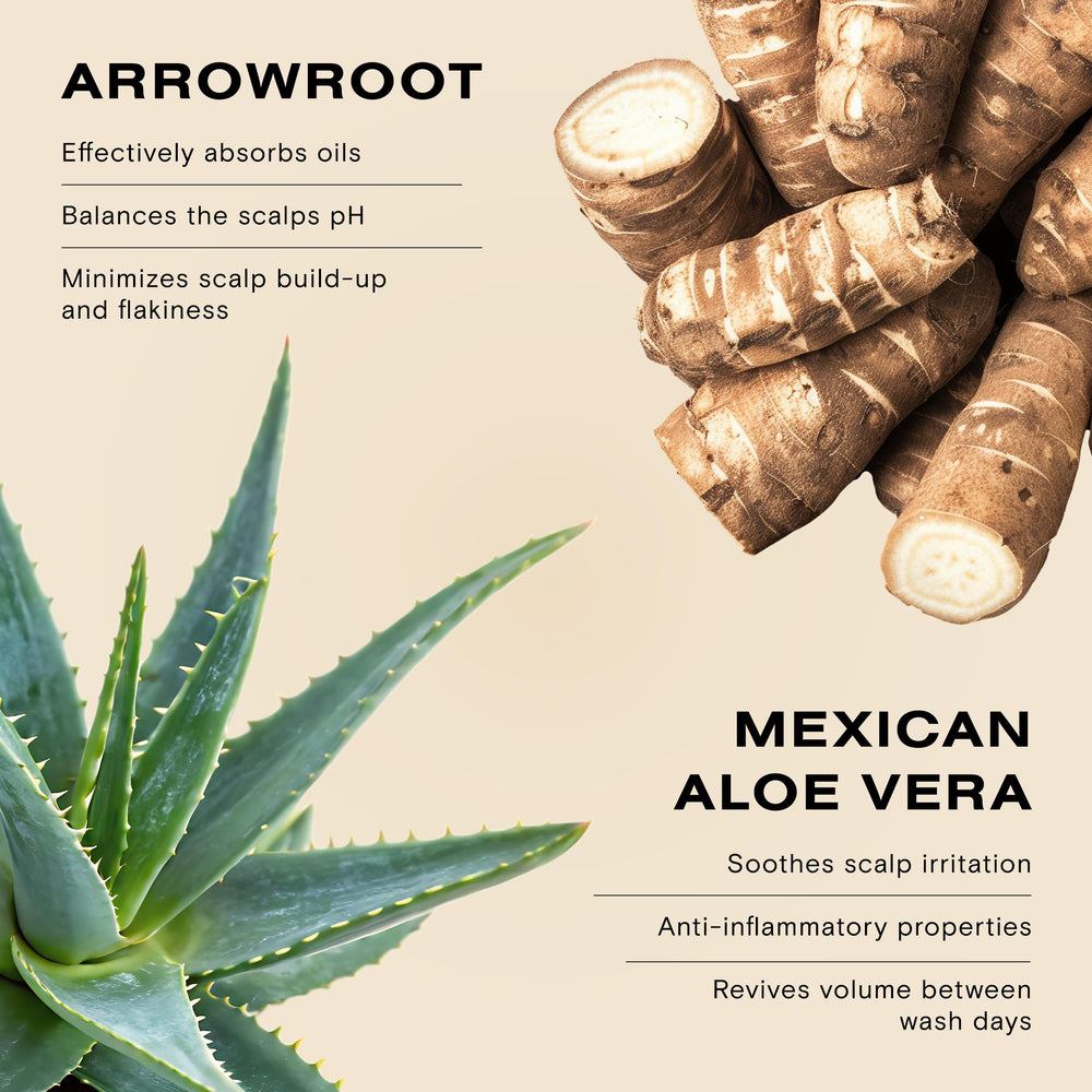 Ceremonia non aerosol design delivers targeted root refresh