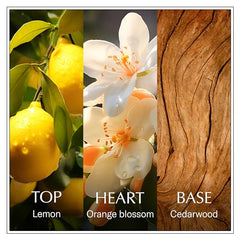 Chanson d'Eau Lemon heart notes orange blossom evoke gentle daily elegance.