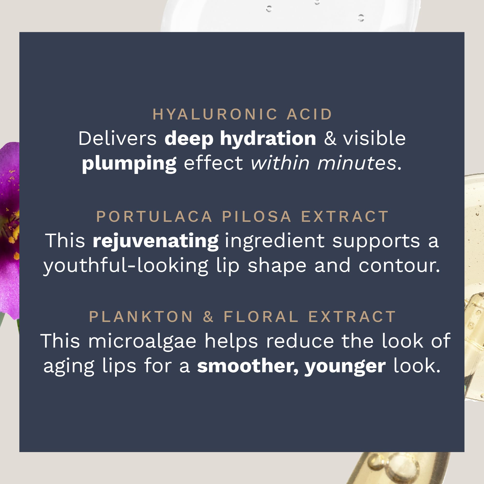 City Beauty City Lips Night Oil ingredient graphic highlights hydration