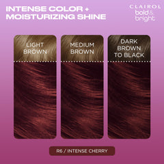 Clairol Activator bottle prepares the formula for even coverage