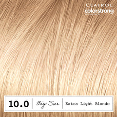Clairol ColorStrong bonding-treatment seals color and reinforces hair structure.