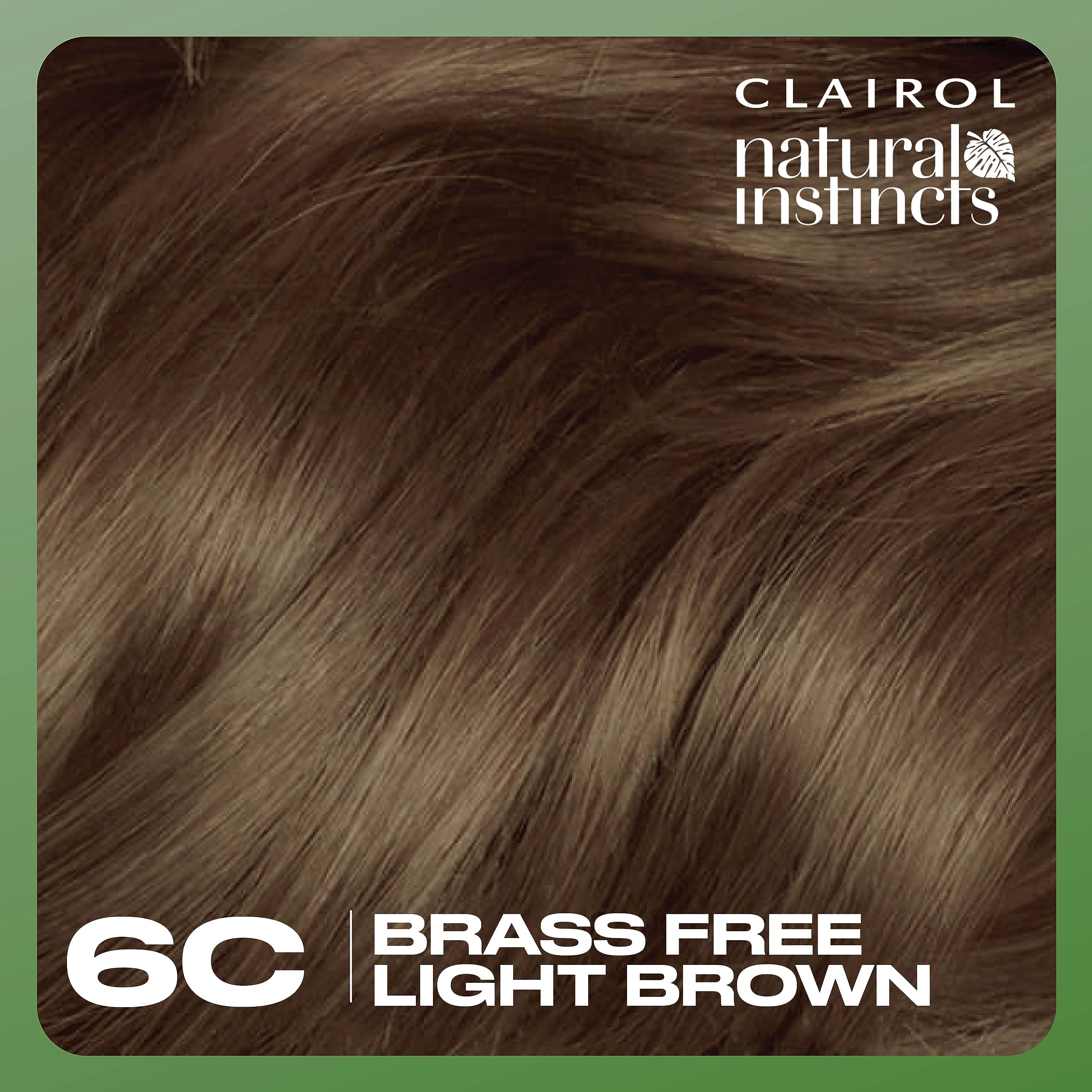 Clairol Natural Instincts application process diagram for at-home dyeing