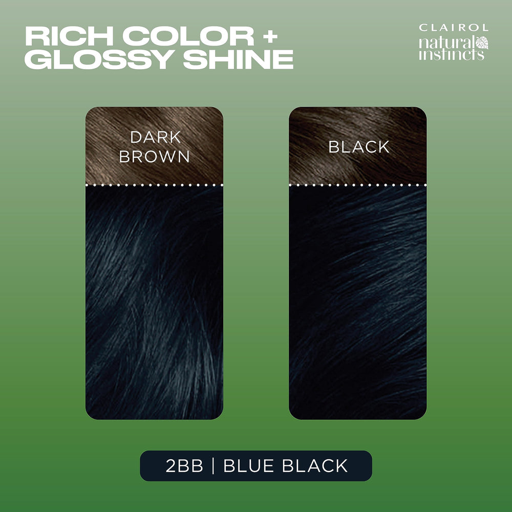 Clairol Natural Instincts 2BB blue black in-use gloves indicate safe handling.