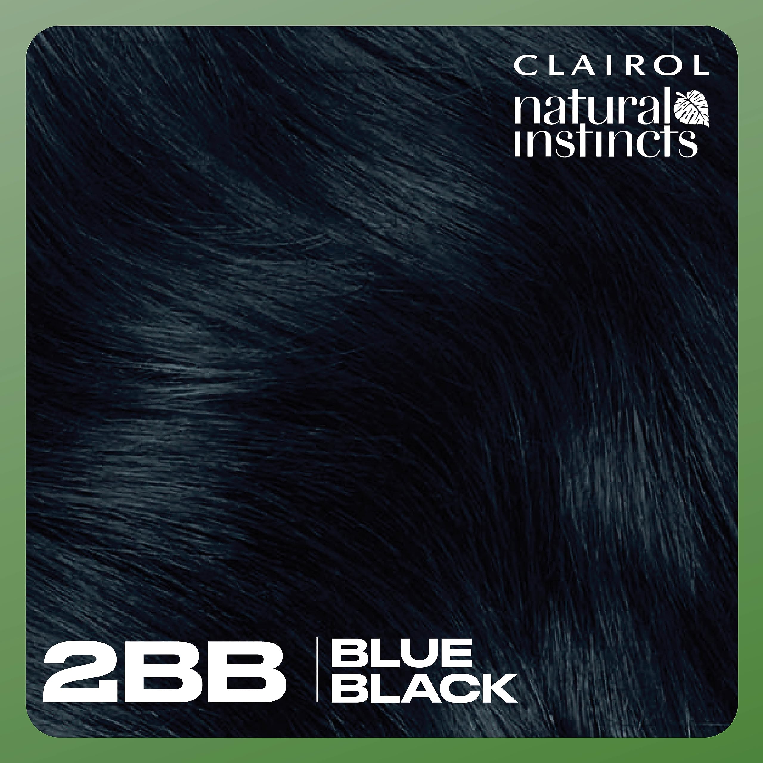 Clairol Natural Instincts 2BB blue black natural shade palette.