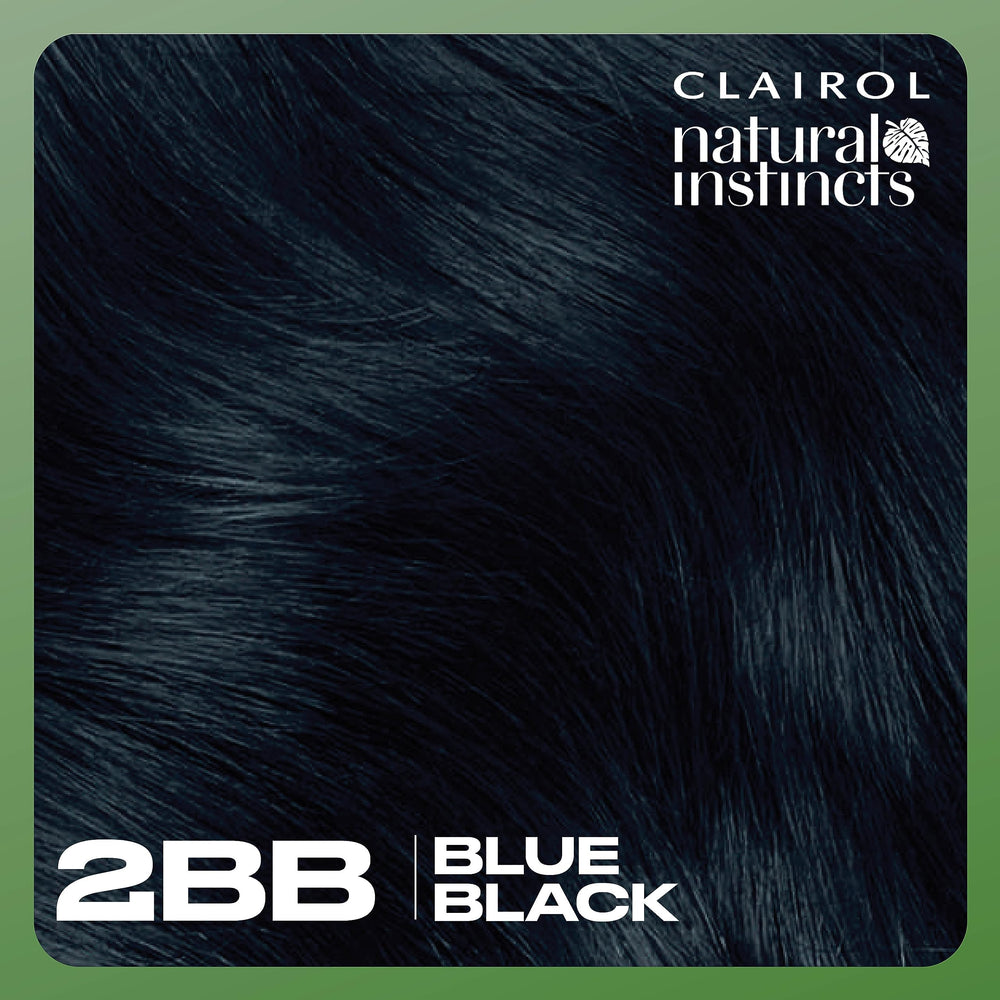 Clairol Natural Instincts 2BB blue black natural shade palette.