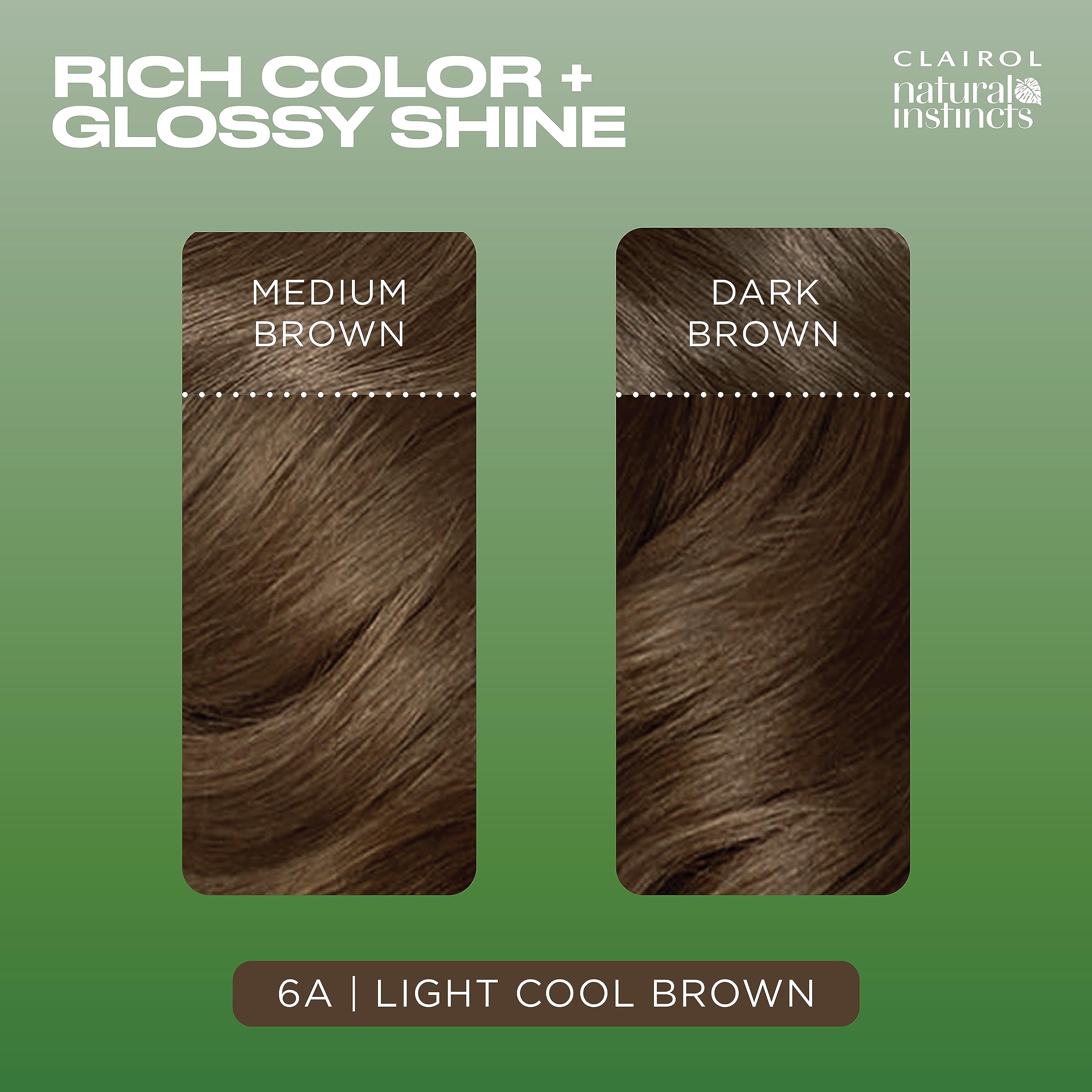 Instruction leaflet with step-by-step at-home color guidance.