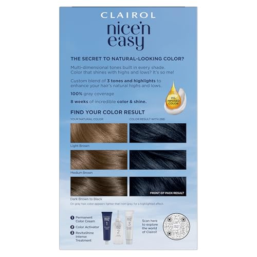 Clairol Nice'n Easy 2BB Blue Black color cream bottle for at-home application.