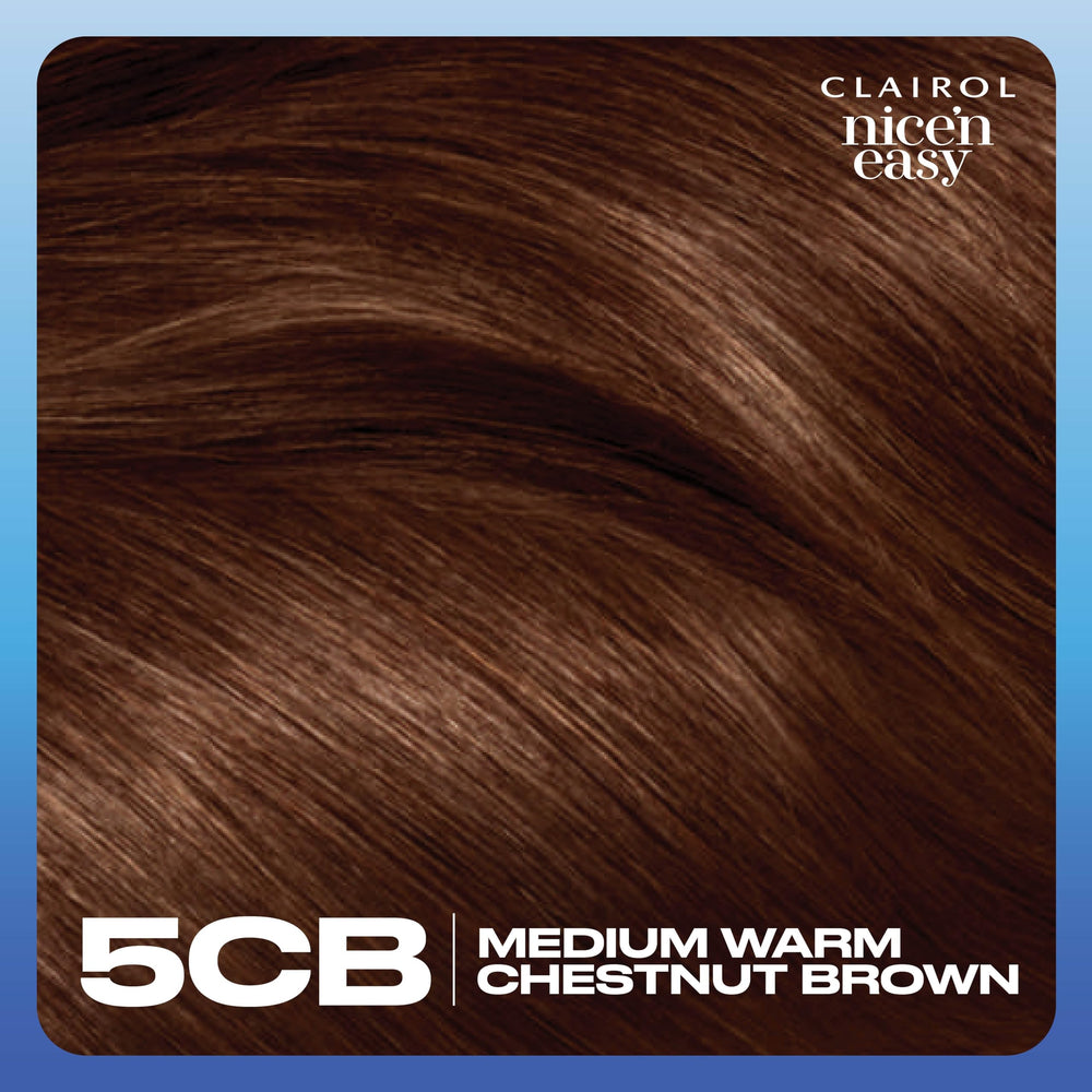 Clairol Nice'n Easy instruction leaflet guides at-home coloring.