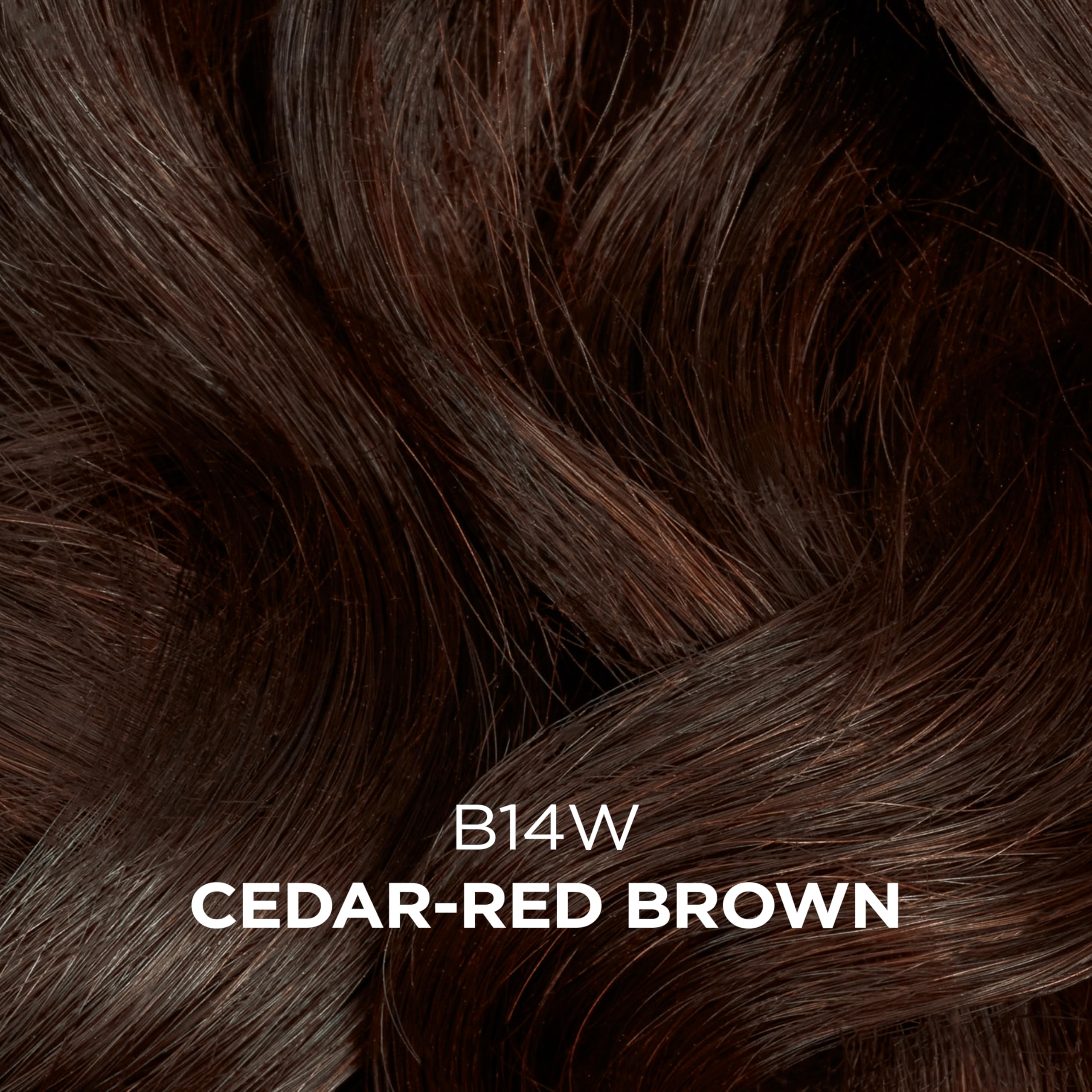 Clairol Professional Beautiful Collection Cedar Red Brown swatch shows natural result