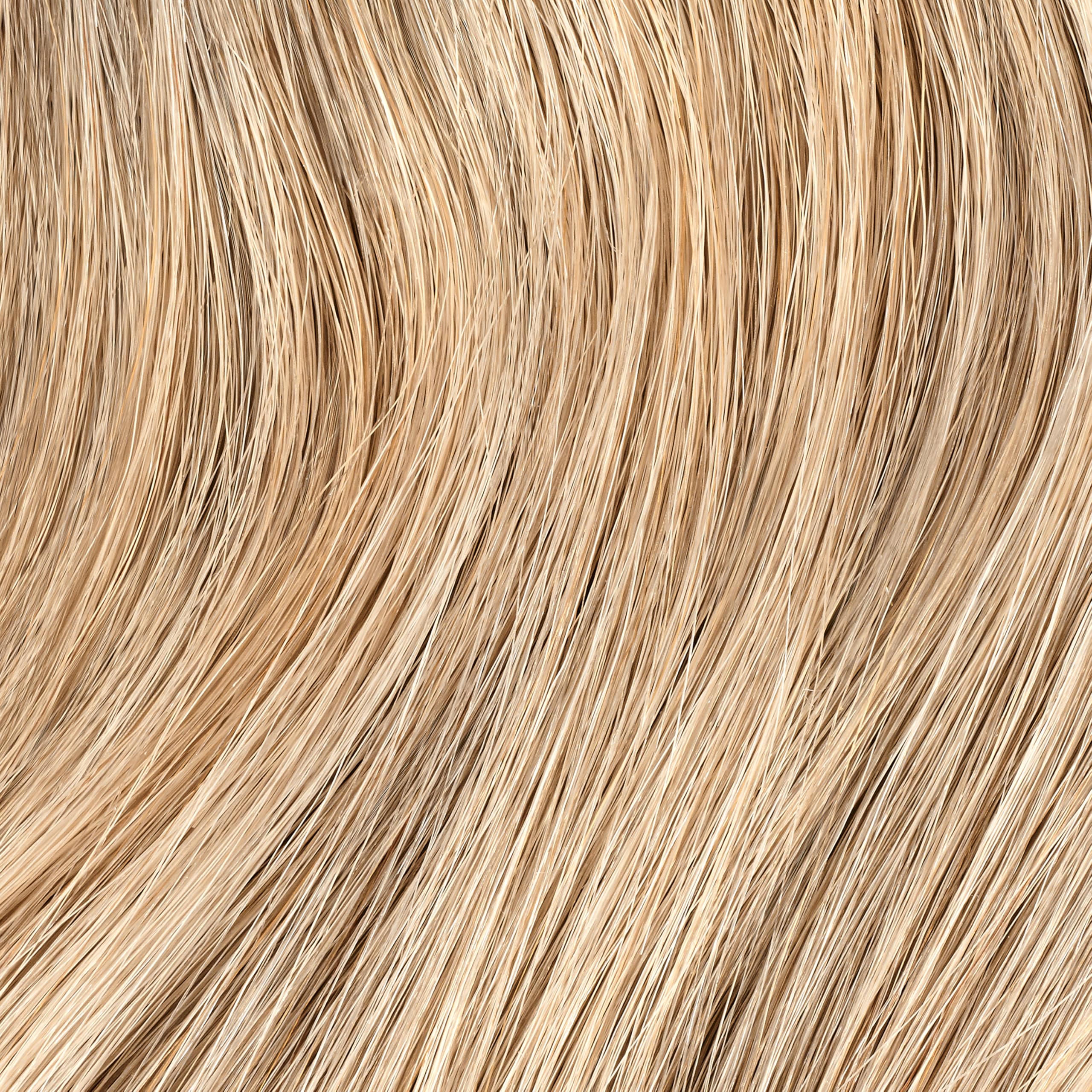 Color swatches for 10N highlight a balanced neutral blonde shade.