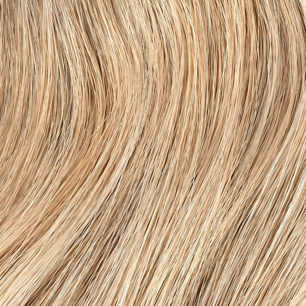 Color swatches for 10N highlight a balanced neutral blonde shade.