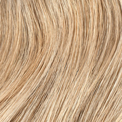 Color swatches for 10N highlight a balanced neutral blonde shade.