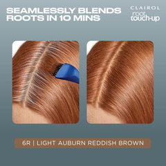 Clairol salon-inspired brush and bowl kit for professional-looking touch-ups