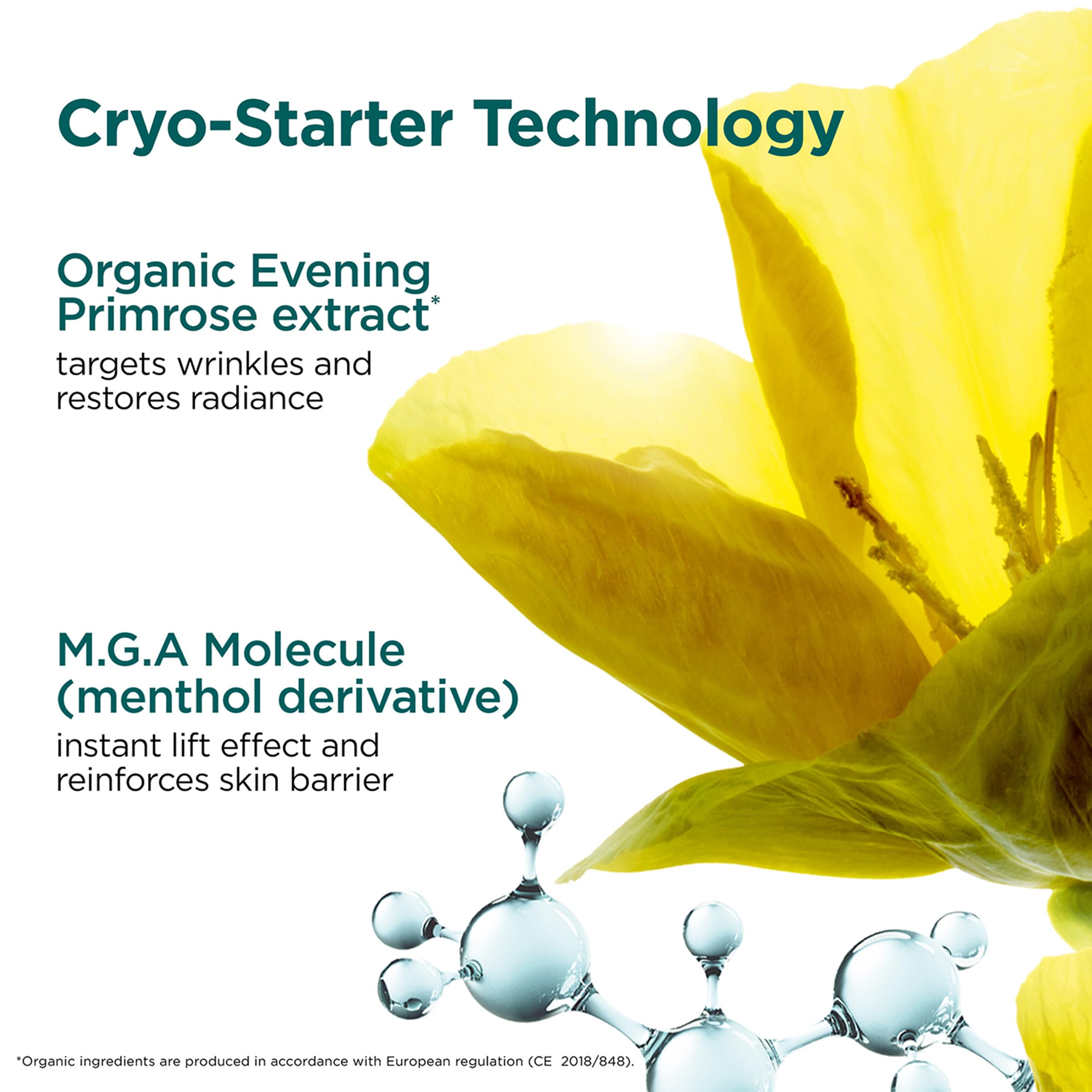 Evening Primrose extract visual highlight in Cryo-Flash mask