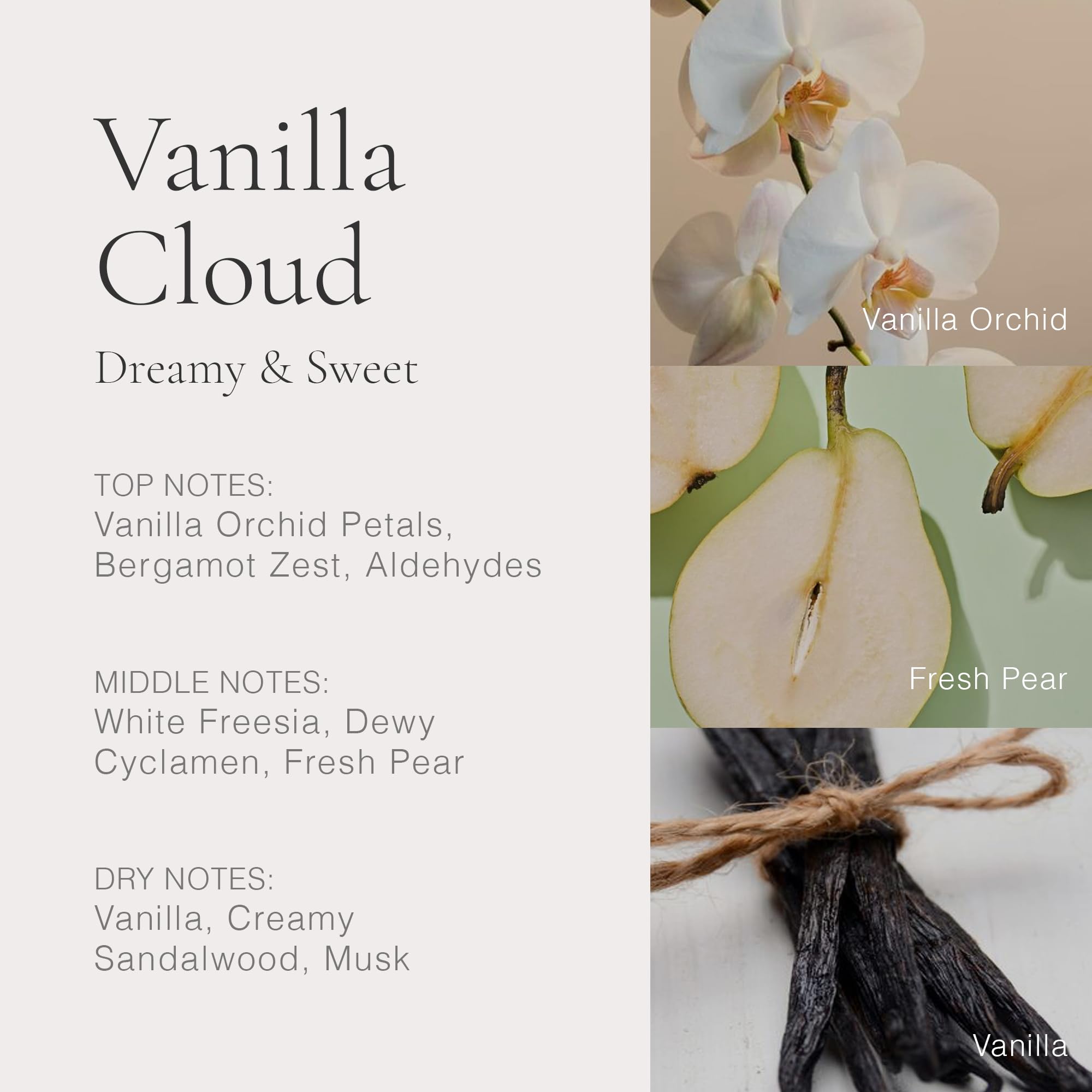 CLEAN logo and labels reflect a simple, elevated fragrance experience