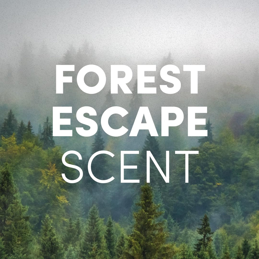 Forest Escape de Clean Revolution regala fragancia natural tras cada lavado.