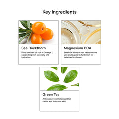 CLEARSTEM GentleClean green tea and goldenseal blend supports soothing, antioxidant-rich skin care.