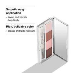 Clinique All About Shadow quad close-up emphasizes pigment intensity and even payoff.