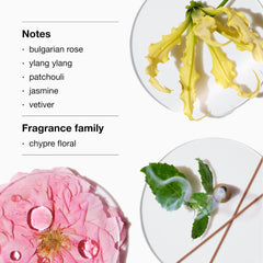 Clinique Aromatics Elixir cap-label highlights premium branding for gifting.