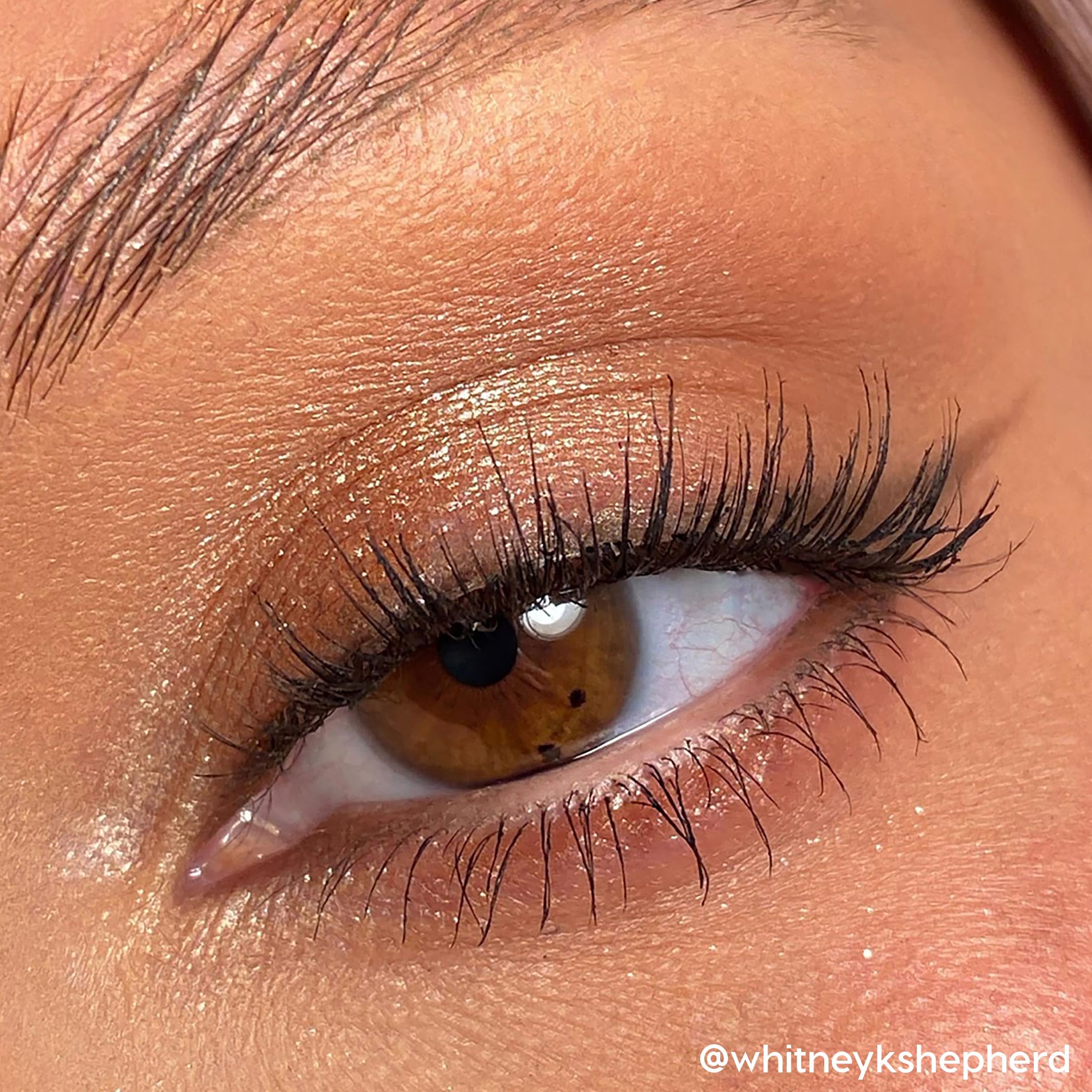 ColourPop Going Coconuts: herramientas de aplicación para difuminar con facilidad.