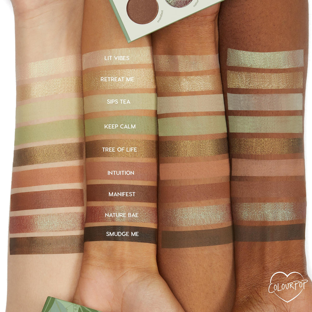 ColourPop Sage the Day aplicación con pincel para color intenso y difuminado
