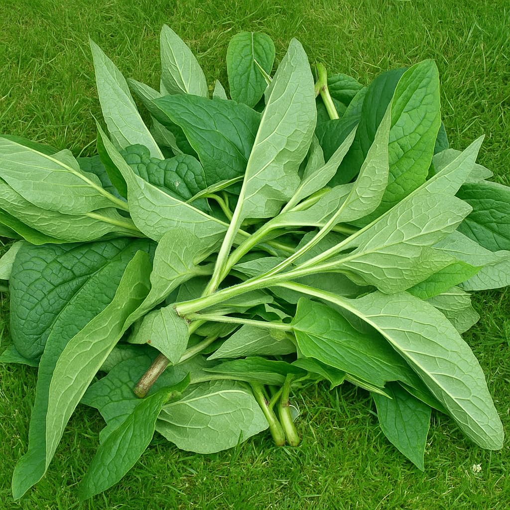 Comfrey Salve textura cremosa para piel sensible sin perfumes