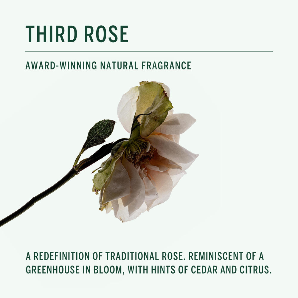 Rose fragrance with citrus hints and subtle wood notes from Corpus.