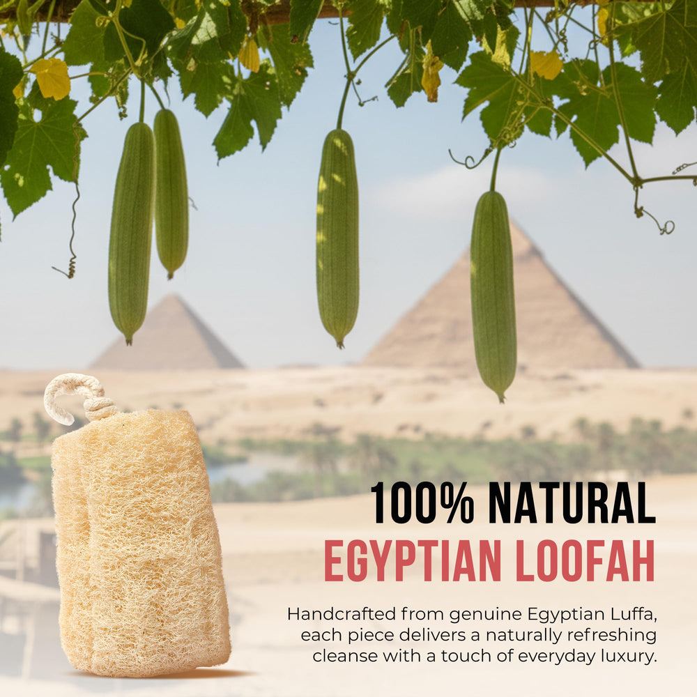CraftsOfEgypt luffa grande, ideal para uso diario en piel sensible.