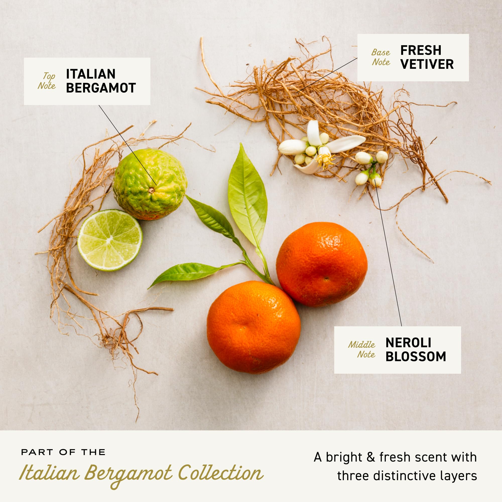 Cremo Exfoliating Body Bar multi-layer fragrance evolves as you wash for a dynamic scent.