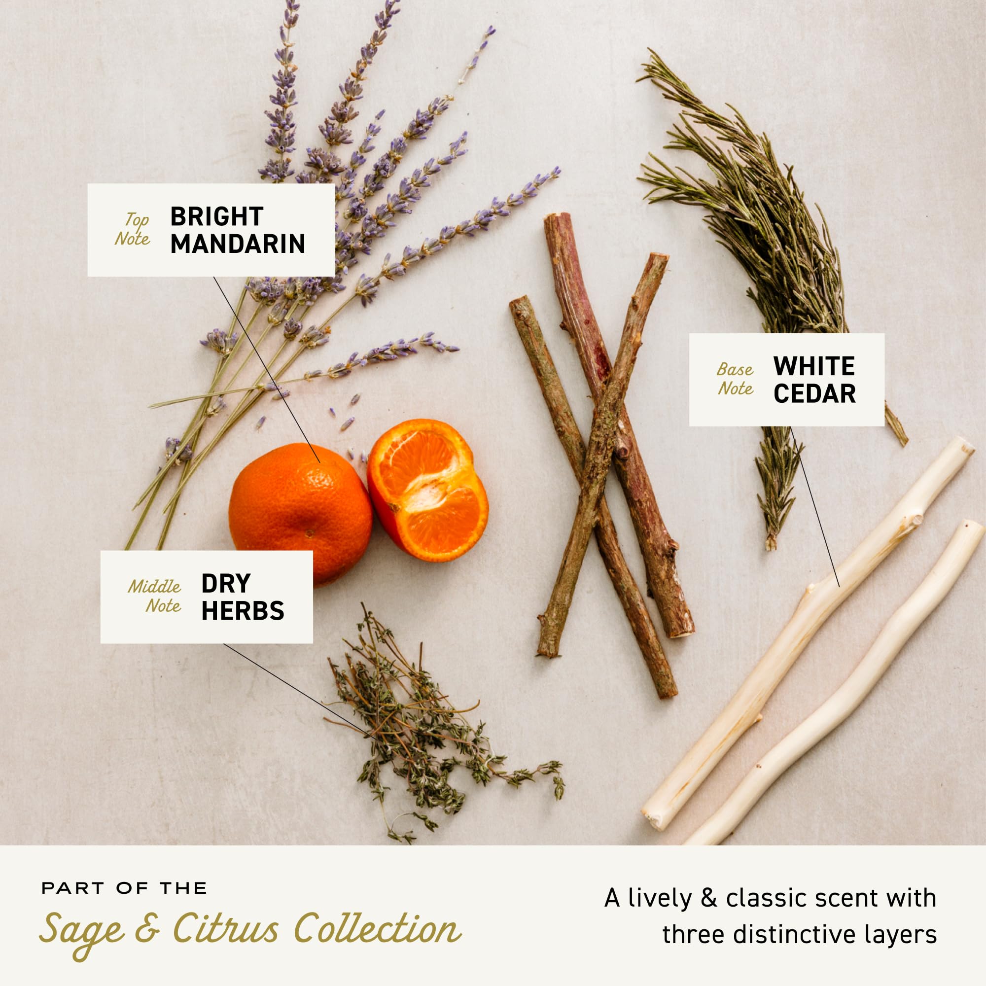 Cremo grooming routine pairs with cologne for a cohesive scent