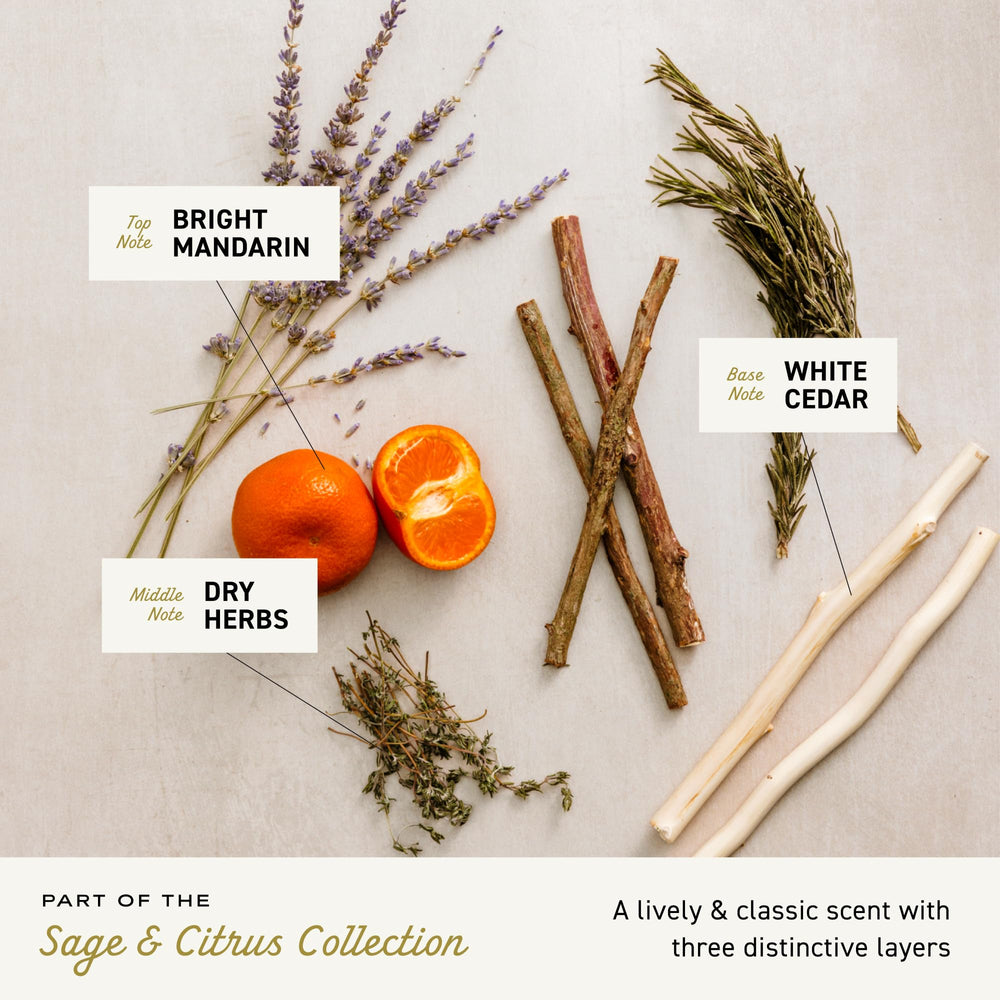 Cremo grooming routine pairs with cologne for a cohesive scent
