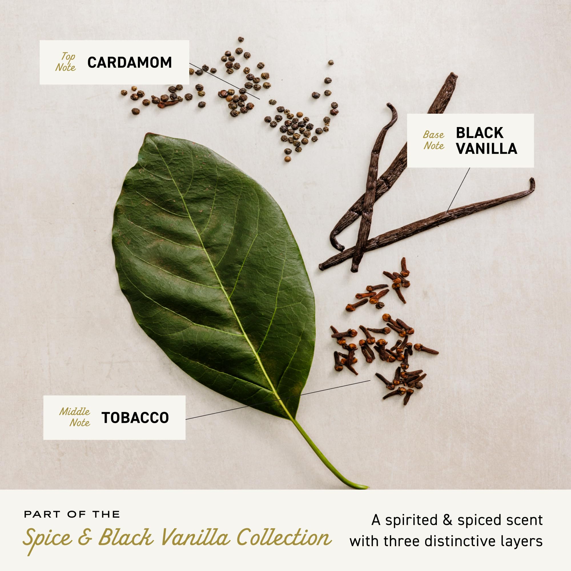 Cremo Spice & Black Vanilla display card highlight