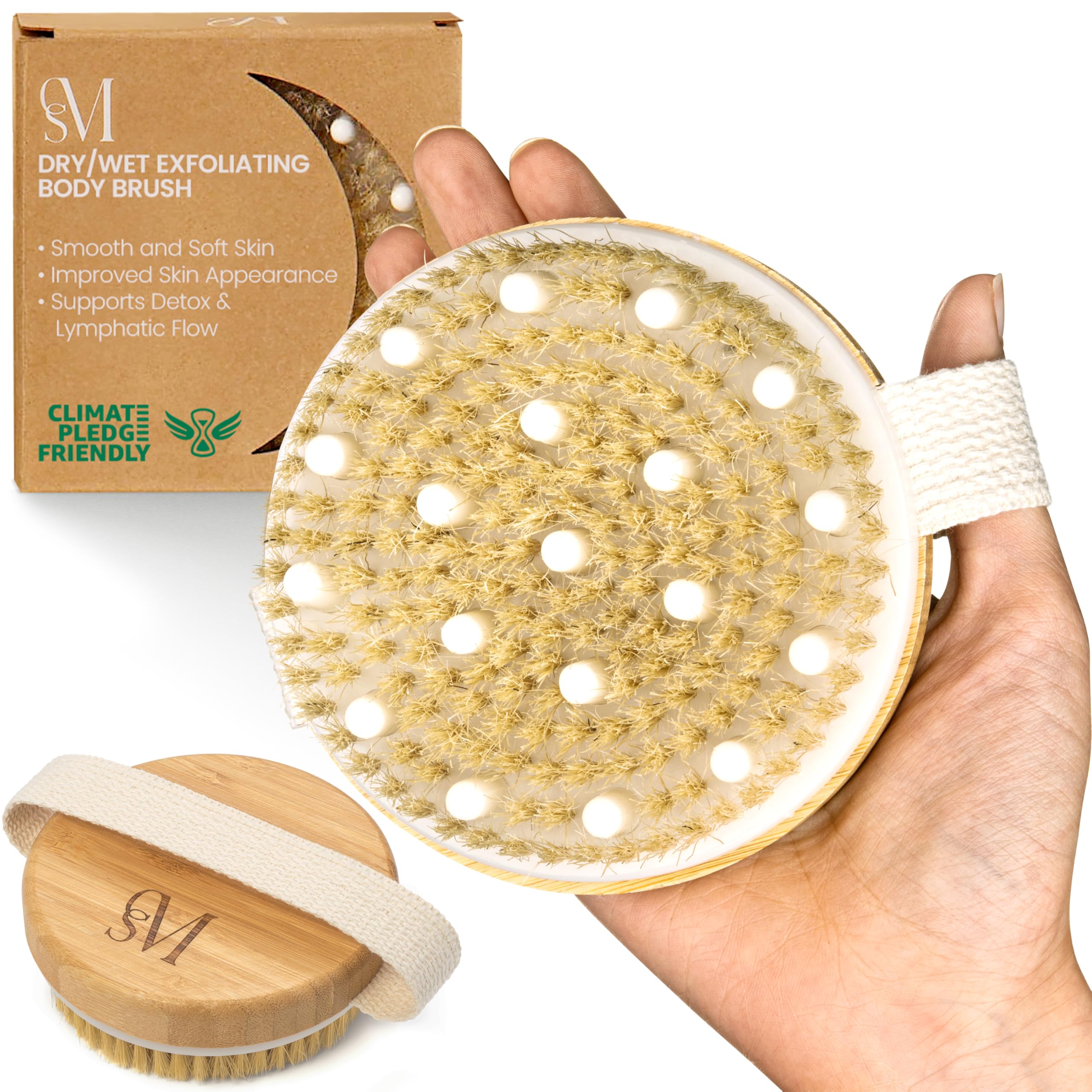 CSM large round body brush for exfoliation and circulation