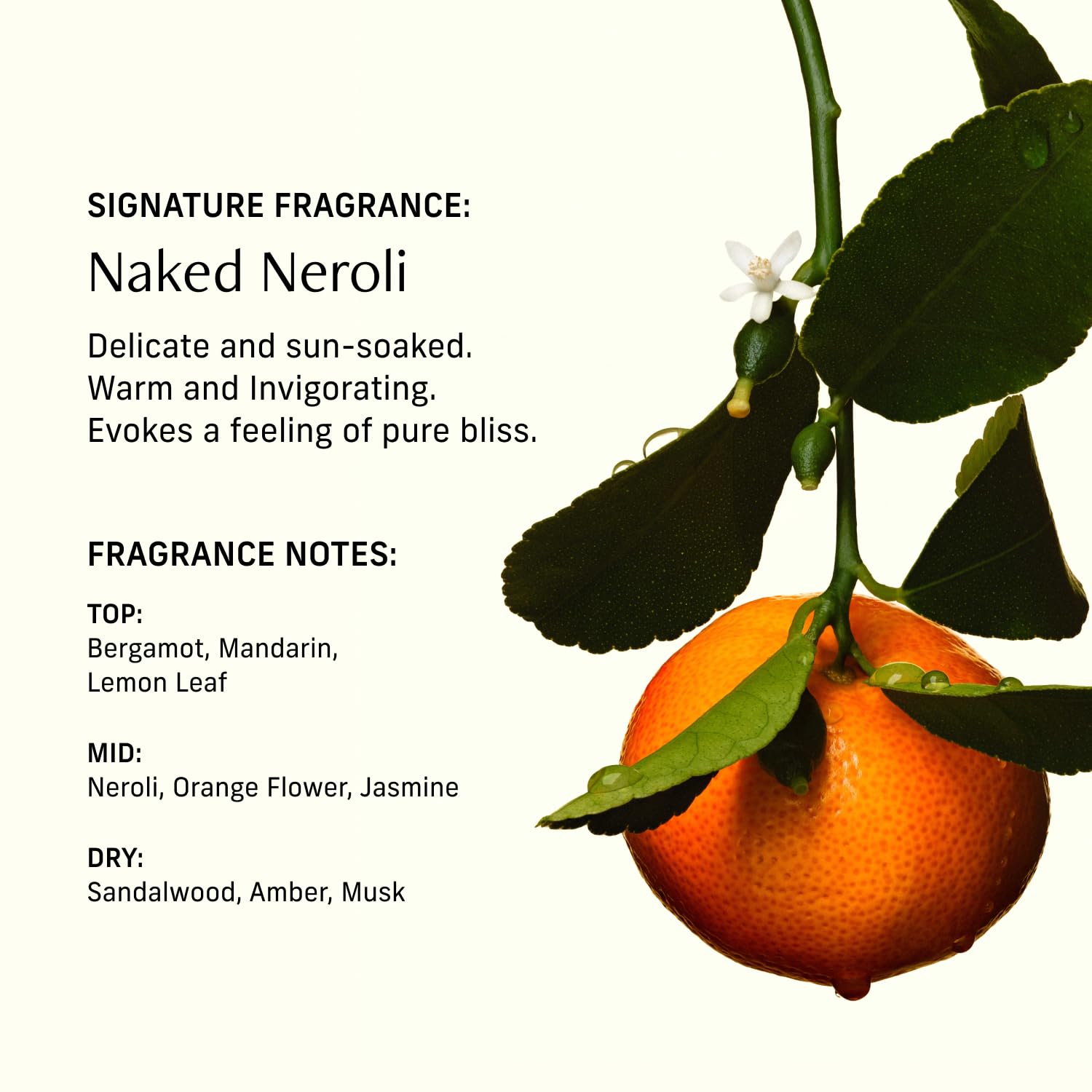 CYKLAR Naked Neroli packaging highlights a sleek, travel-ready design.