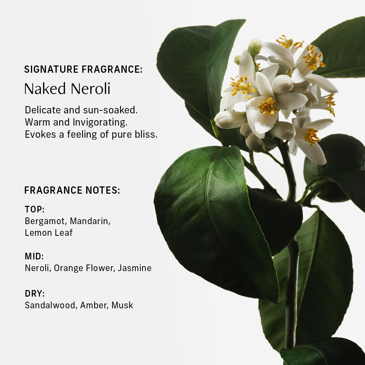 CYKLAR Naked Neroli scent highlights sunlit amber notes enhancing your shower.