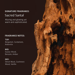 CYKLAR Sacred Santal fragrance profile close-up with sandalwood amber and spice notes