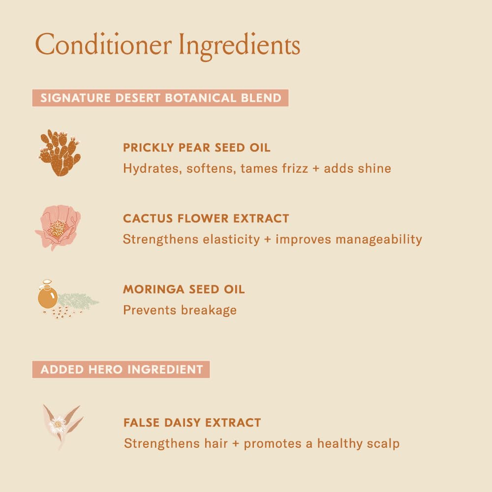 DAE Signature color-treated hair-safe formula label demonstrates color-conscious care.