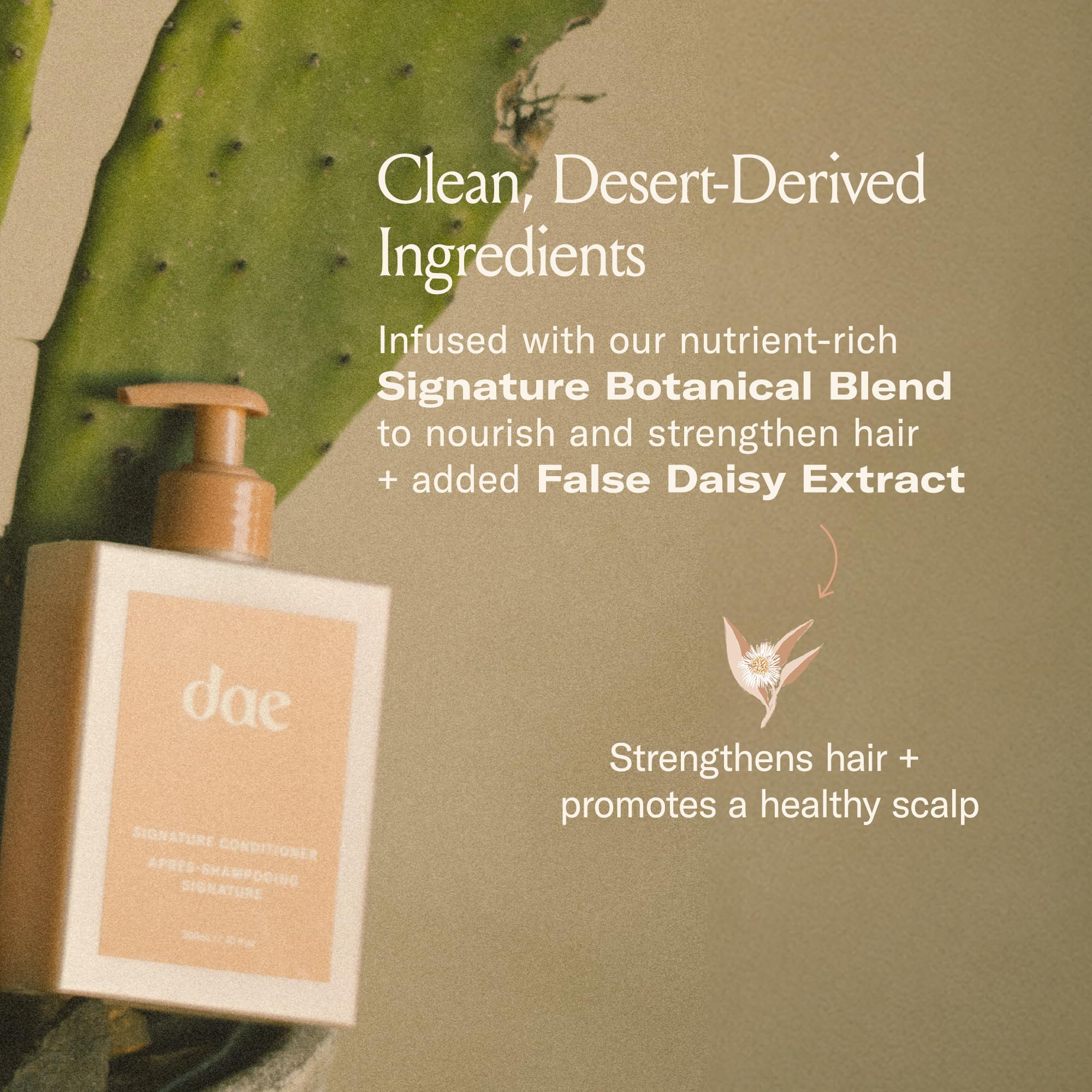 DAE Signature Conditioner packaging recyclable reflecting eco-conscious routine