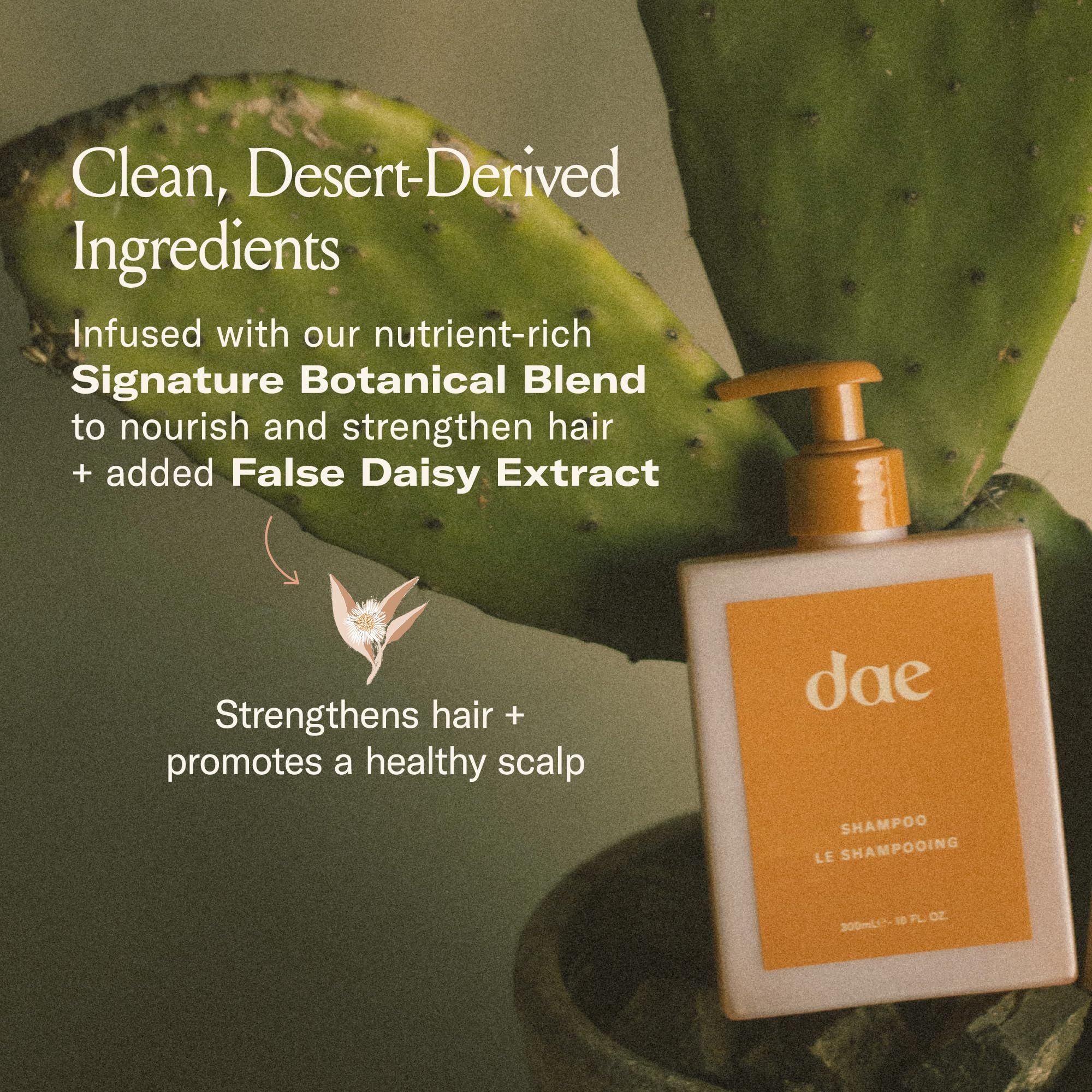 DAE Signature Shampoo dry soft hair after wash highlights smooth finish.