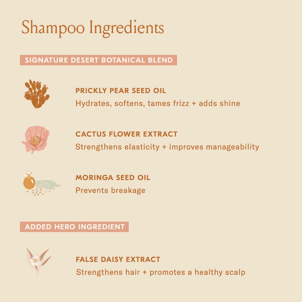DAE Signature Shampoo lather close-up emphasizes rich foam during wash.