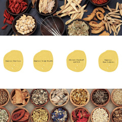 Daeng Gi Meo Ri Ki Gold treatment application demonstrates easy home use.