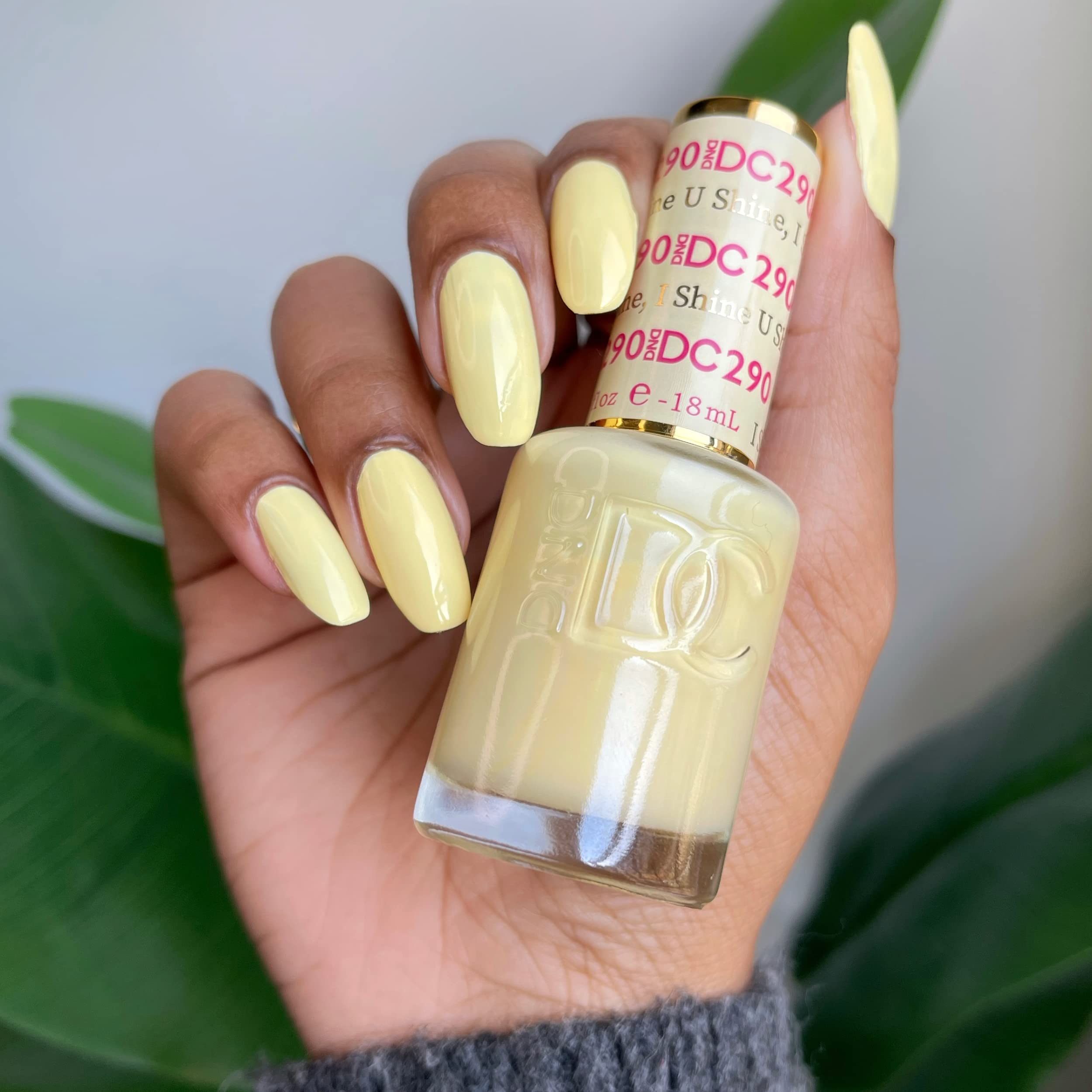 DAISY DND: aplicador uñas para aplicación uniforme