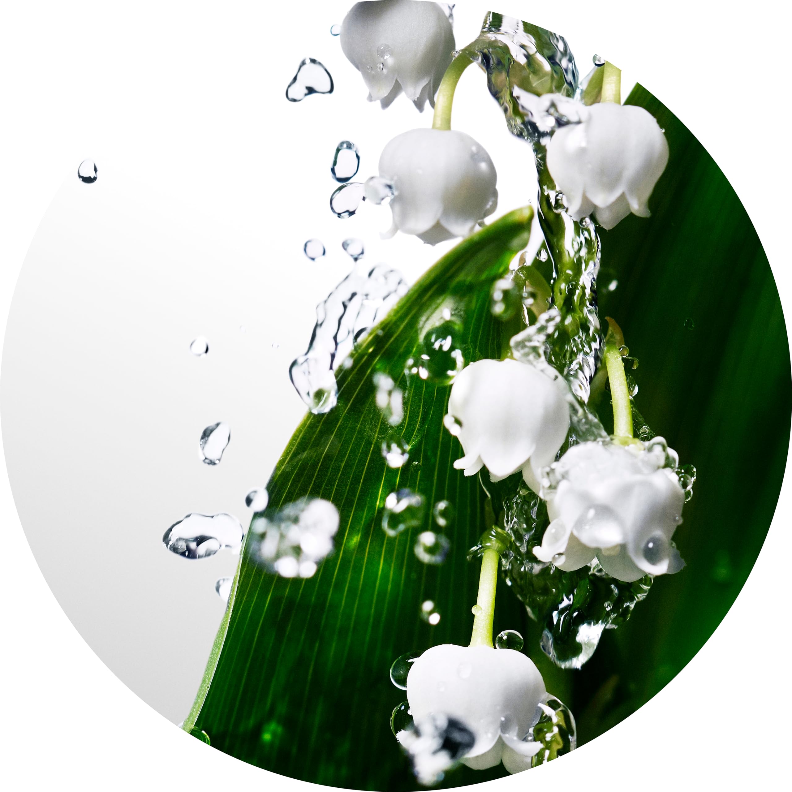 Davidoff Cool Water Woman watermelon note for a refreshing vibe.