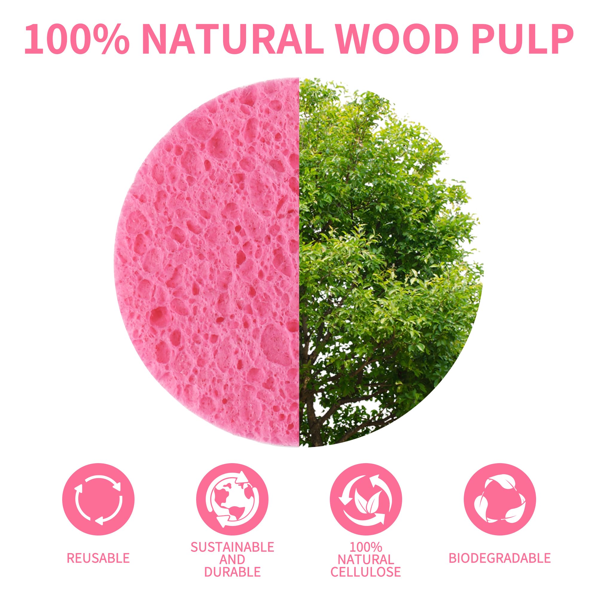 Derloyo dry-storage sponge after use dries quickly for reuse