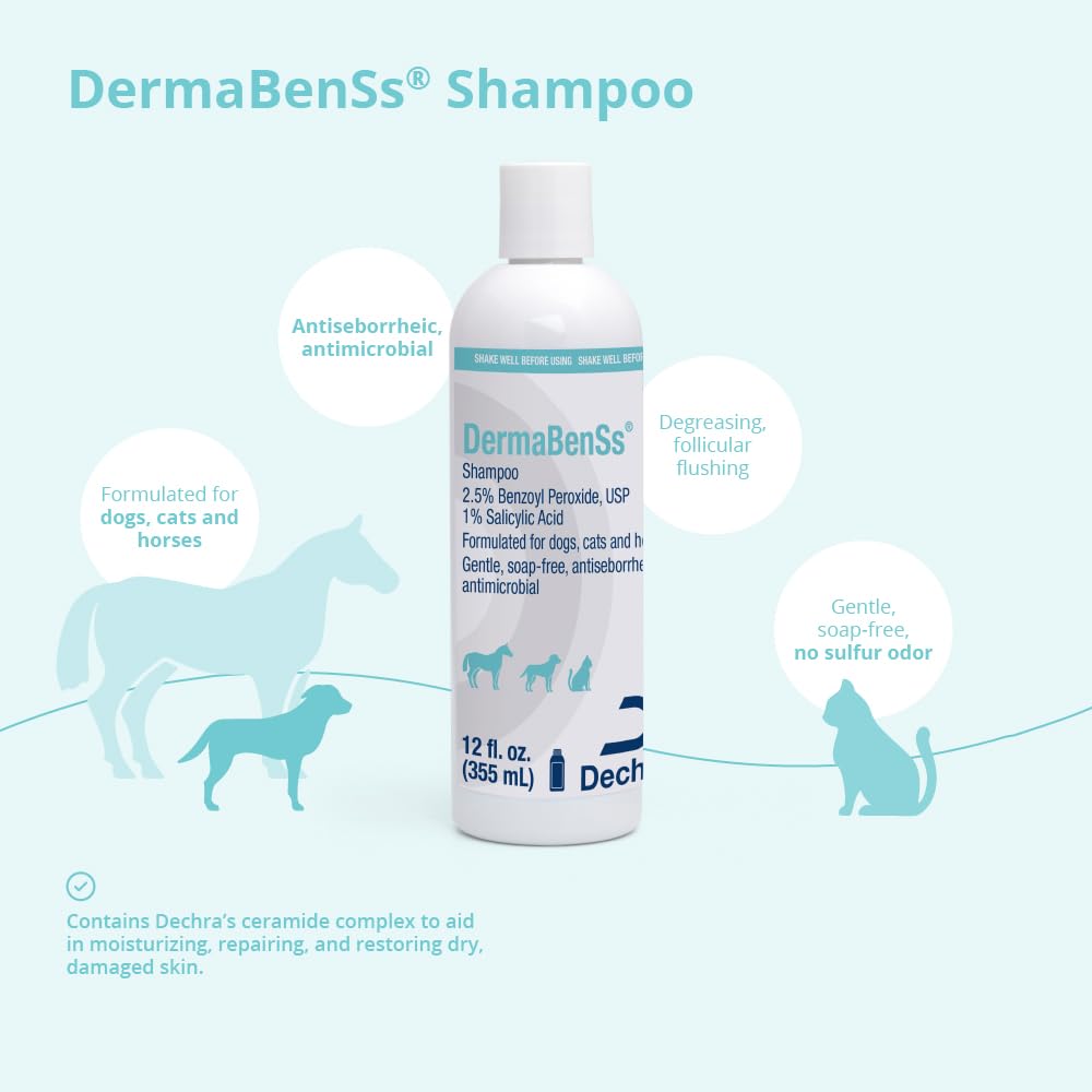 DermaBenSs mejora el pelaje con brillo saludable tras el lavado.