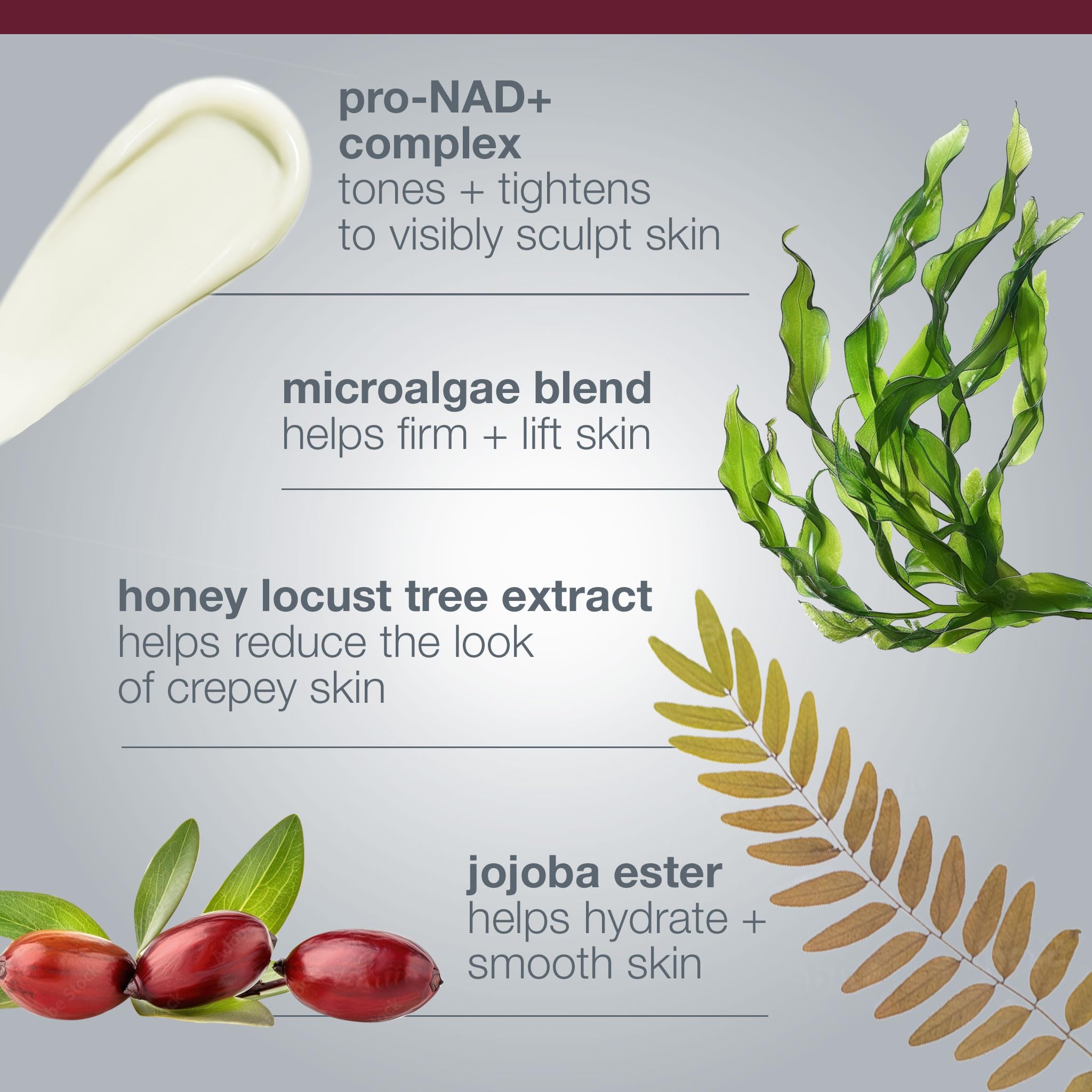 Dermalogica Dynamic Skin Sculptor microalgae ingredient supports hydration and resilience.