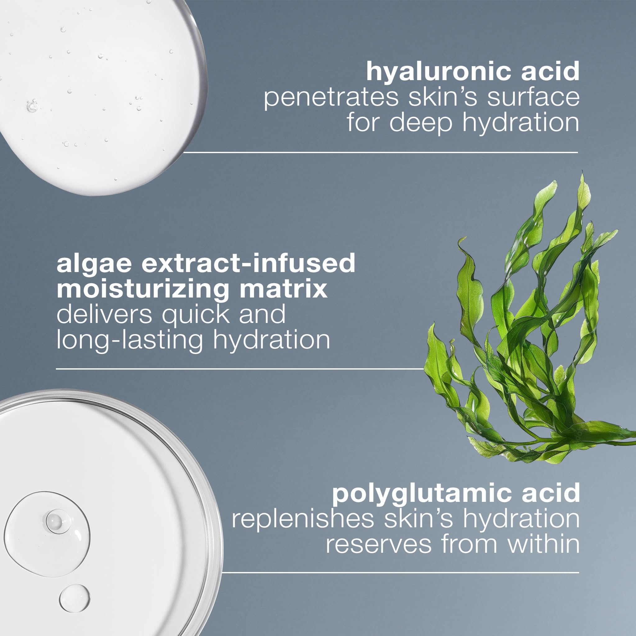 Dermalogica Polyglutamic acid packaging hints at hydration retention.