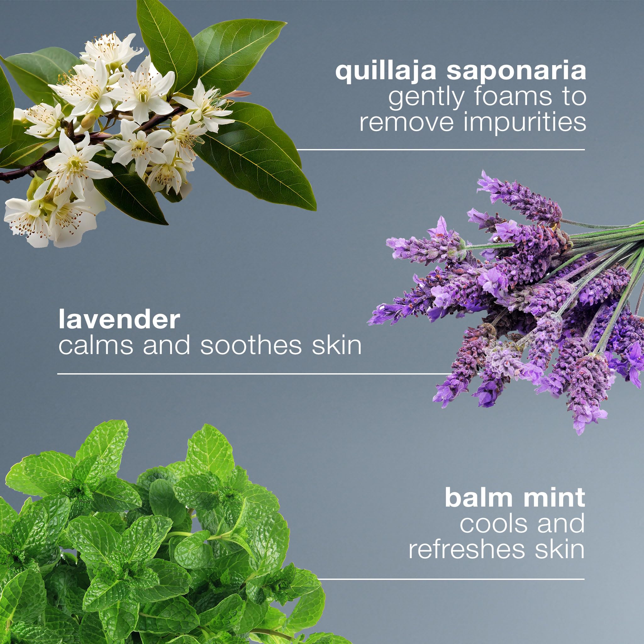 Dermalogica Special Cleansing Gel, botella lavanda y menta, aroma suave que acompaña la rutina.