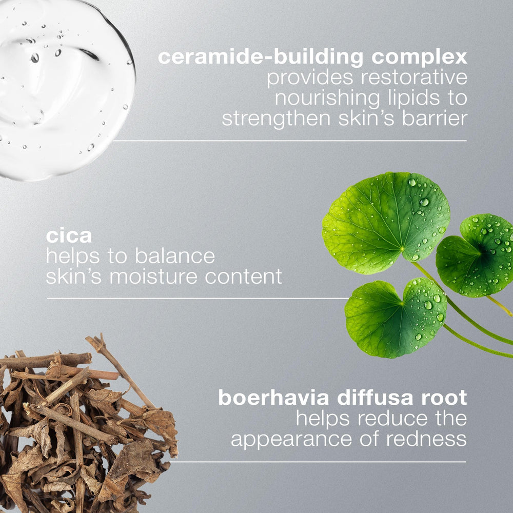 Illustration of Resurrection Plant ingredient supporting moisture in the formula