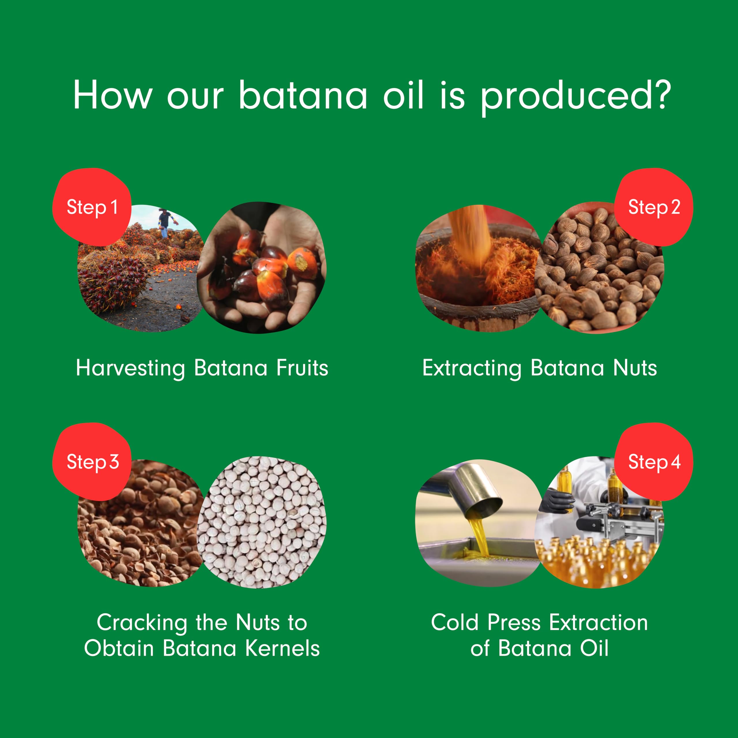 Dersie Batana Oil all-hair-types friendly formula for smoother, fuller-looking results.